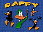 Daffy duck.jpg