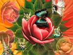 bloemenengeltjes.jpg