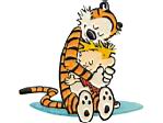 calvin and hobbes.jpg