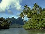 eiland 01.jpg