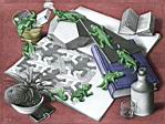 escher 01.jpg