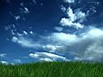 gras.jpg